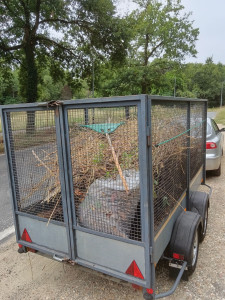 Photo de galerie - Dechets verts débarrasser sur Eysines 