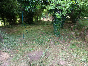 Photo de galerie - Tonte de pelouse - Débroussaillage