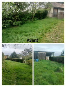 Photo de galerie - Remise en état 
