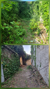 Photo de galerie - Maison abandonné depuis 16 ans remis au propre