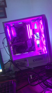 Photo de galerie - Assemblage d'un PC pour une cliente orienté gaming avec un petit budget 