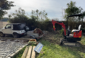 Photo de galerie - Enlèvement d’une souche