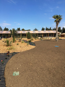 Photo de galerie - Création-Aménagement Paysagers (terre,plantes,paillage,installation arrosage automatique)