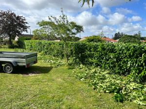 Photo de galerie - Voici un chantier de taille de hait 
