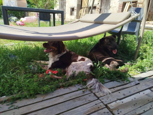 Photo de galerie - Urbain et momoa