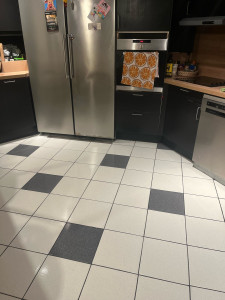 Photo de galerie - Nettoyage d une cuisine 