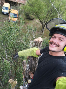 Photo de galerie - Elagage d un acacia 
