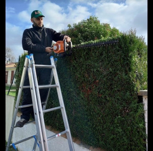 Photo de galerie - Taille de haies 