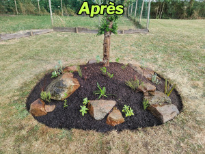 Photo de galerie - Paysagiste - Aménagement du jardin