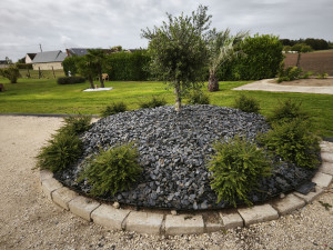 Photo de galerie - Création de massif 
