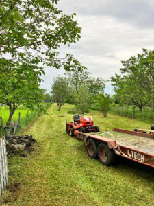 Photo de galerie - Tonte de pelouse - Débroussaillage