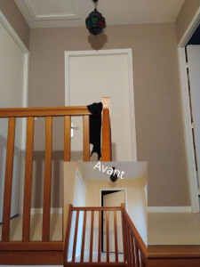 Photo de galerie - Précis et rendu dans les temps a Connéré.