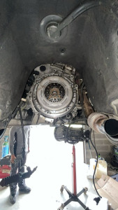 Photo de galerie - Embrayage 