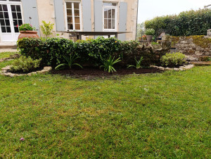 Photo de galerie - Création de 3 massifs deux Veronique et 3 agapanthes 