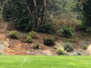 Photo de galerie - Paysagiste - Aménagement du jardin