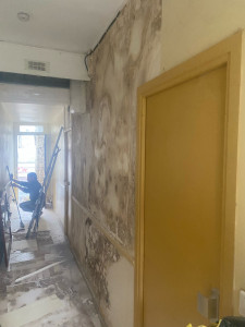 Photo de galerie - Rénovation de un cage d escalier 