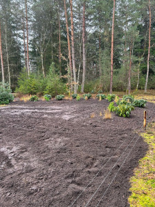 Photo de galerie - Paysagiste - Aménagement du jardin