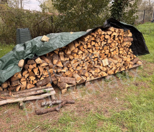 Photo de galerie - Paysagiste - Aménagement du jardin