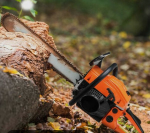 Photo de galerie - Entretien jardin ou terrain 