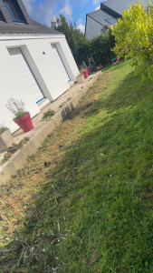 Photo de galerie - Tonte de pelouse - Débroussaillage