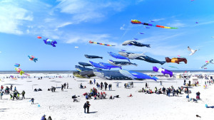 Photo de galerie - Festival de Cerfs-Volants de Berck-sur-mer