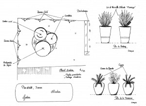 Photo de galerie - Plan avec plantes proposées