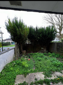 Photo de galerie - Elagage et coupe d'arbres