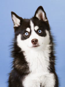 Photo de galerie - Photographe