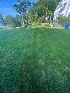 Photo de galerie - Entretien d’un jardin 