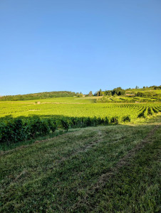 Photo de galerie - Balades en pleine nature avec moi !!! 
