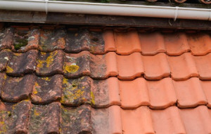 Photo de galerie - Bricolage et multi services