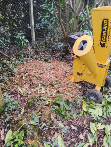 Photo de galerie - Broyage 