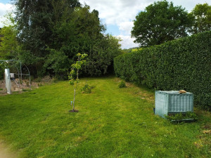 Photo de galerie - Tonte de pelouse - Débroussaillage