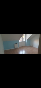 Photo de galerie - Peinture couleur vernis parquet 