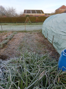 Photo de galerie - Tonte de pelouse - Débroussaillage