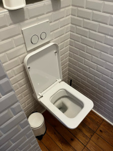 Photo de galerie - Remplacement de lunette de toilette 