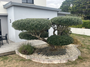 Photo de galerie - Jardinier