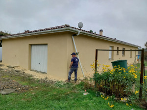 Photo de galerie - Crépis