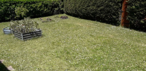 Photo de galerie - Jardin clôturé pour garde de chiens