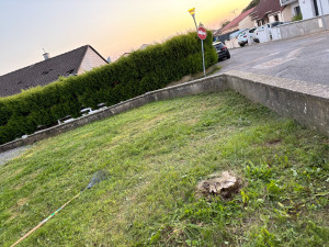 Photo de galerie - Tonte de pelouse - Débroussaillage