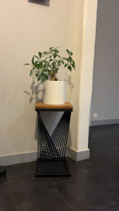 Photo de galerie - Petite table 