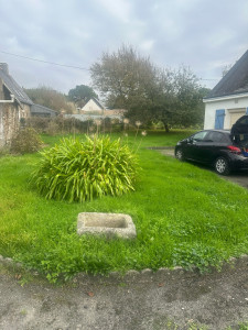 Photo de galerie - Tonte de pelouse et débroussaillage sur la commune de moëlan sur mer