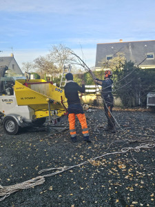 Photo de galerie - Broyage 