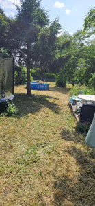 Photo de galerie - Debrouissaillage/Tonte 