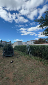 Photo de galerie - Paysagiste - Aménagement du jardin