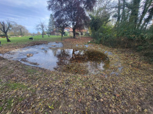 Photo de galerie - Remodelage d'une marre ainsi que pose d'une bâche epdm