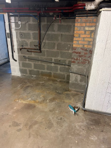 Photo de galerie - Debarras