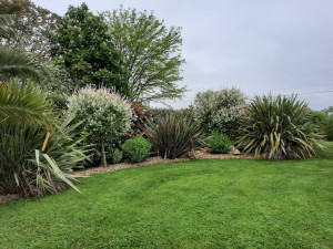 Photo de galerie - Tonte pelouse et entretien massif