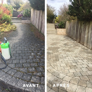 Photo de galerie - Nettoyage, dallage