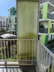 Photo de galerie - •  « Je protège et je nettoie avec un fongicide spécialisé contre les lichens, les champignons et les salissures. Résultat attendu : une surface saine et parfaitement propre. »